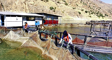 'Fırat'ın sultanları' üretiyor