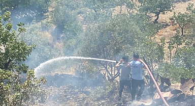 Fıstık bahçesinde yangın çıktı!