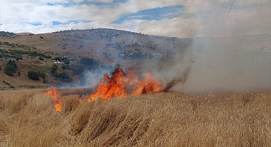 Güneş değil, yangın yaktı!