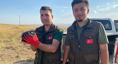 Güvenlik güçlerinden kaçamadılar