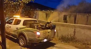 Haşere ve larvalar ile mücadele sürüyor   