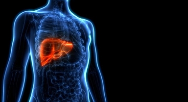 Hepatite karşı “Bilgilenin, aşılanın, korunun!”
