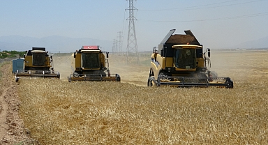 Hububat hasadı başladı