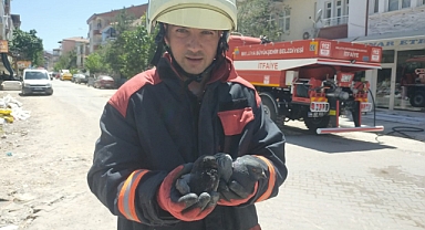 İtfaiye minik canlar için harekete geçti