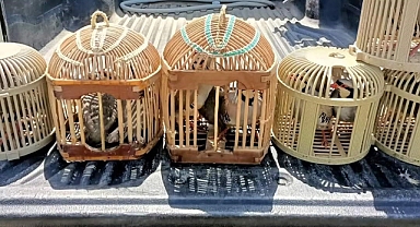 Kaçak avcılara 30 bin lira ceza   