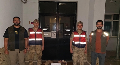 Kaçak topladılar... Cezası ağır oldu!