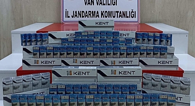 Kaçakçılara operasyon! Bir ayda 75 şüpheli!