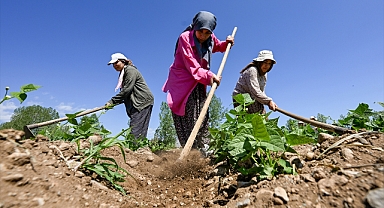 Kadınlar