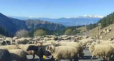 Karayolunu trafiğe kapattılar
