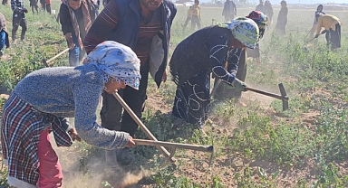 Kavurucu sıcakta ekmek mücadelesi