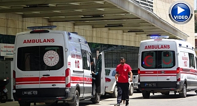 Kene ve akrep vakalarında artış!
