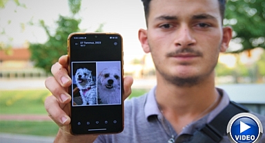 Köpeğini bulmak için sokak sokak geziyor!