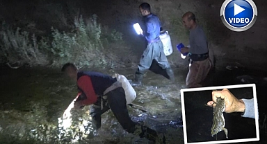 Kurbağa avcılarının gece mesaisi! Kilosu 100 lira...