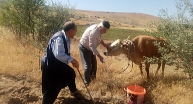 Kurban Bayramında kaçmıştı, 22 gün sonra ortaya çıktı