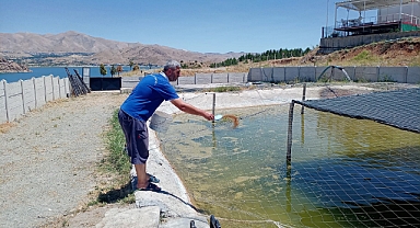 Milyonlarca balık göl ve barajlara salınıyor   