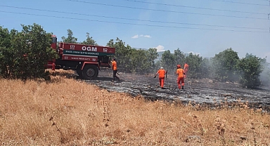 Orman yangını büyümeden söndürüldü