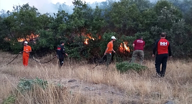 Orman yangını el birliğiyle söndürüldü