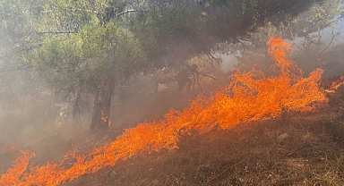 Ormana sıçrayan yangın 3 saatte kontrol altına alındı