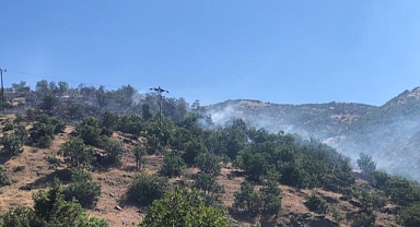 Ormanlık alanda korkutan yangın