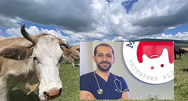 Şap alarmı! Durdurulamıyor!