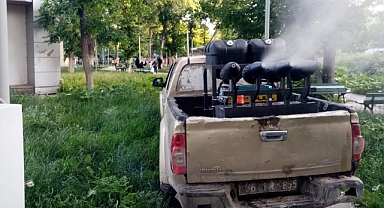 Sinek ve haşerata karşı ilaçlama devam ediyor