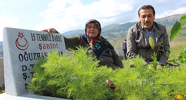  Tabuta sığmayan şehit