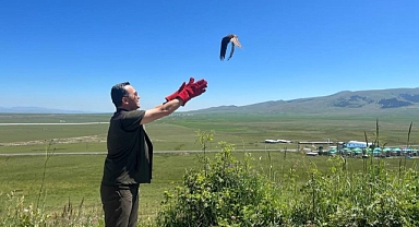 Tedavileri tamamlandı.. Doğal ortamlarına kavuştular