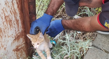 Tellere sıkıştı itfaiye kurtardı!