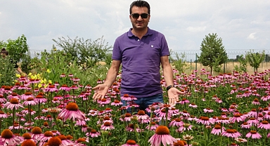 Tıbbi bitkilerden doğal stüdyo