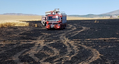 Trafodan çıkan kıvılcım 70 dönümlük alanı kül etti