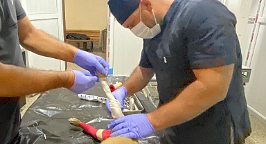 Yavru köpek için zamanla yarıştılar 