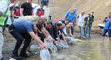 1 milyon yavru sazan baraj ve göletlere bırakıldı
