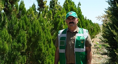 30 bin fidan toprakla buluşacak