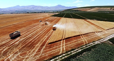 301 bin dekarlık alanda buğday hasadı