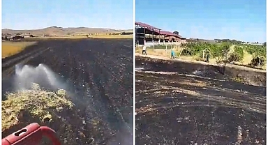 60 dönüm arazi kül oldu