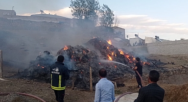 8 bin bağ ot cayır cayır yandı
