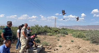 Bin adet sülün doğaya salındı!