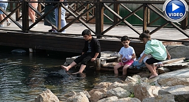 Büyüleyici manzarasıyla ilgi odağı oldu