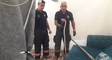 Çadıra girdi yürekler ağza geldi!
