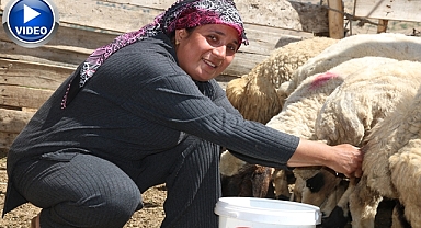 Depremde hayvanları telef olmuştu! Devlet desteğiyle ayağa kalktı