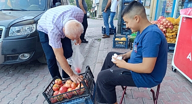 Domates satarak okul harçlığını çıkartıyor