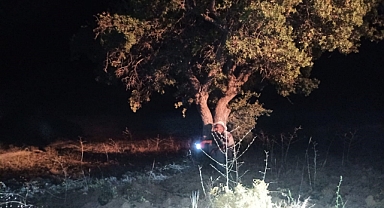 Domuzlar tarlalara dadandı, köylü çareyi nöbette buldu