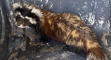 Erzurum'da girdiği marketten 10 saatte çıkarıldı