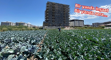 Erzurum'da tarım arazileri imara açılıyor!