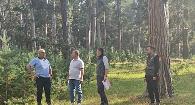Erzurum Orman Bölge Müdürü Ayatay sahaya indi