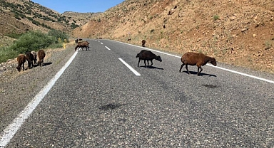 Erzurum Valiliğinden