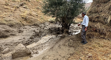 Ev ve ahırları su bastı, ekinler zarar gördü