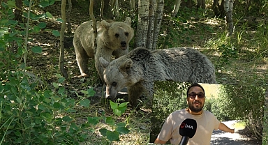 Habere giderken haber oldular! Muhabir kaçtı ayı kovaladı