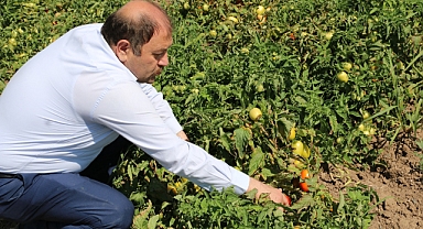 Hedef, yurt dışı pazarı!