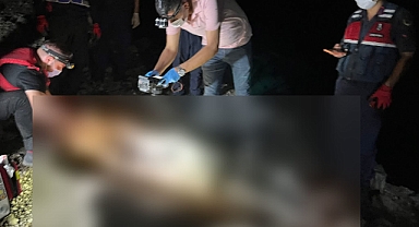 Kamyonuyla nehire düşmüştü! Cesedi 91 gün sonra bulundu